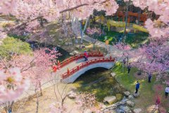 时政微观察丨服务业如何高质量发